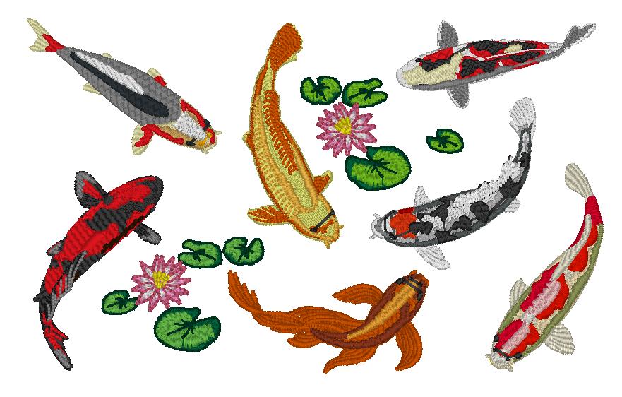 7 Koi with 2 water lilies Design #2